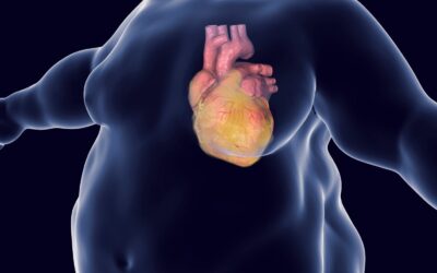 Triglicéridos altos: cuándo se convierten en un riesgo para tu corazón
